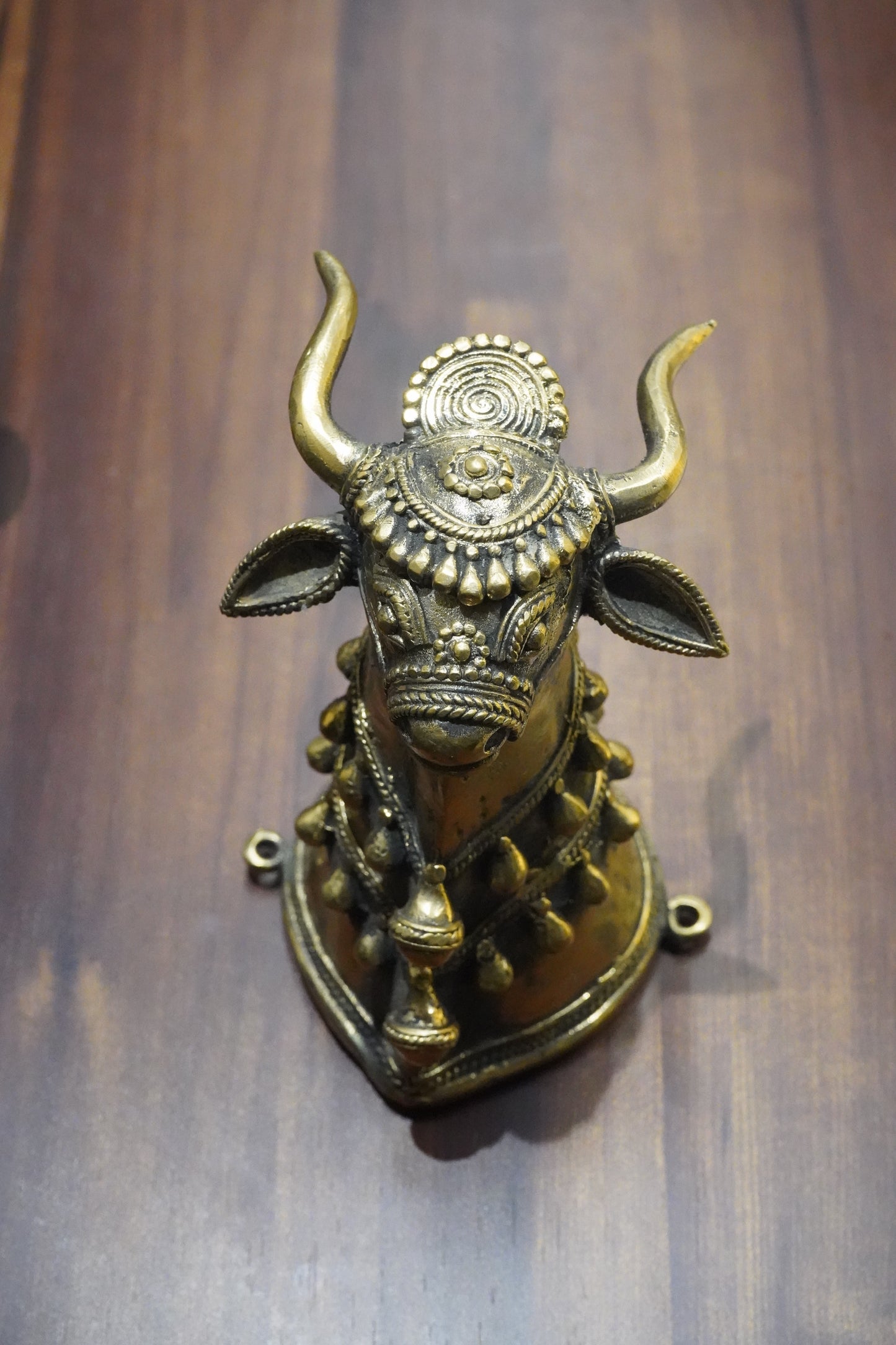 Sacred Nandi Bull Head