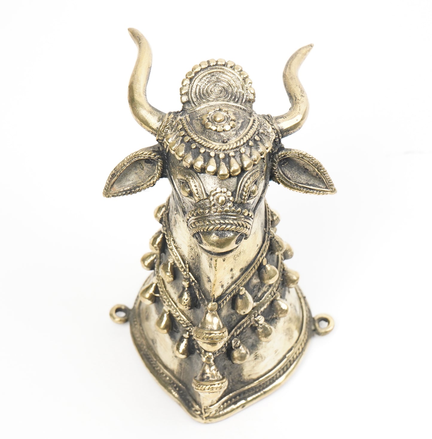 Sacred Nandi Bull Head