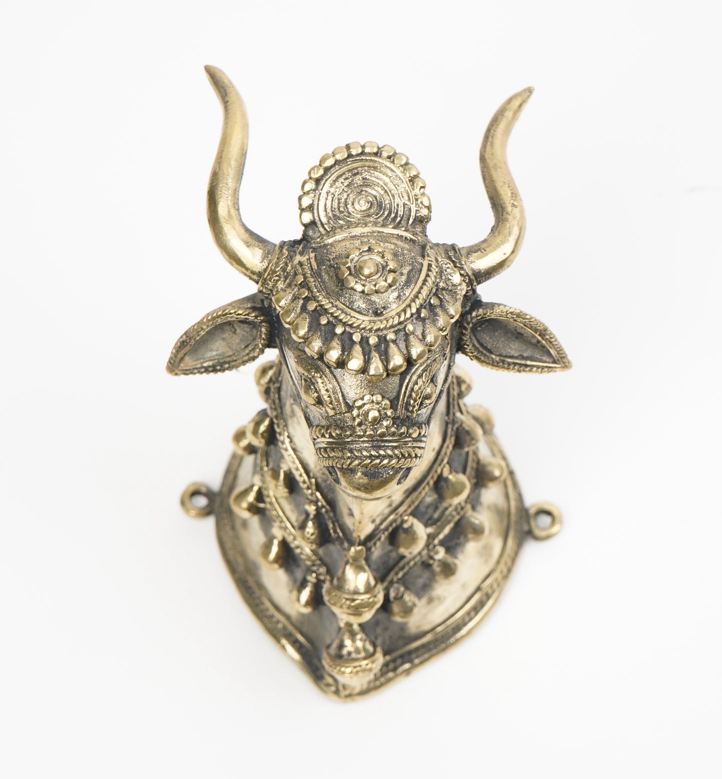 Sacred Nandi Bull Head